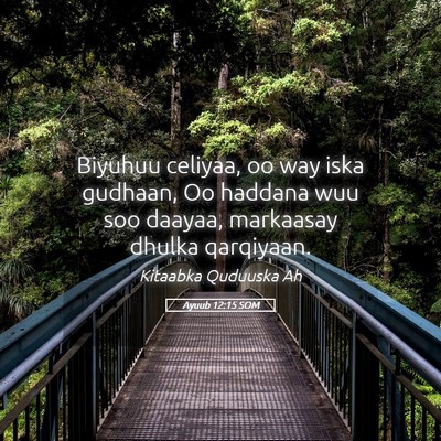 Picture 05 - Ayuub 12:15 SOM - Biyuhuu celiyaa, oo way iska gudhaan, Oo haddana - Bible Verse Picture