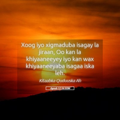 Picture 05 - Ayuub 12:16 SOM - Xoog iyo xigmaduba isagay la jiraan, Oo kan la - Bible Verse Picture