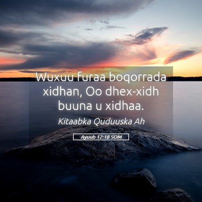 Picture 05 - Ayuub 12:18 SOM - Wuxuu furaa boqorrada xidhan, Oo dhex-xidh buuna - Bible Verse Picture