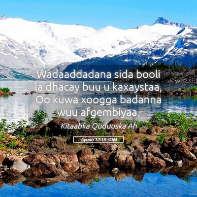 Picture 05 - Ayuub 12:19 SOM - Wadaaddadana sida booli la dhacay buu u - Bible Verse Picture