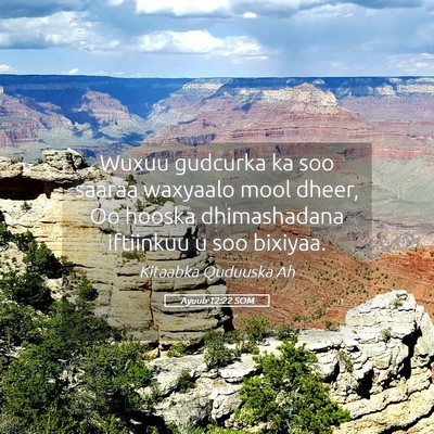 Picture 05 - Ayuub 12:22 SOM - Wuxuu gudcurka ka soo saaraa waxyaalo mool dheer, - Bible Verse Picture