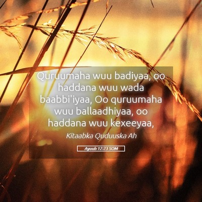 Picture 05 - Ayuub 12:23 SOM - Quruumaha wuu badiyaa, oo haddana wuu wada - Bible Verse Picture