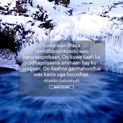 Picture 05 - Ayuub 12:6 SOM - Kuwa wax dhaca teendhooyinkoodu way - Bible Verse Picture