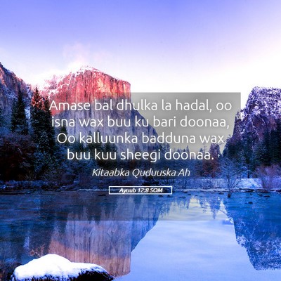Picture 05 - Ayuub 12:8 SOM - Amase bal dhulka la hadal, oo isna wax buu ku - Bible Verse Picture