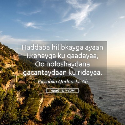 Picture 05 - Ayuub 13:14 SOM - Haddaba hilibkayga ayaan ilkahayga ku qaadayaa, - Bible Verse Picture