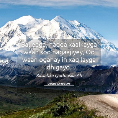 Picture 05 - Ayuub 13:18 SOM - Bal eega, hadda xaalkayga waan soo hagaajiyey, Oo - Bible Verse Picture