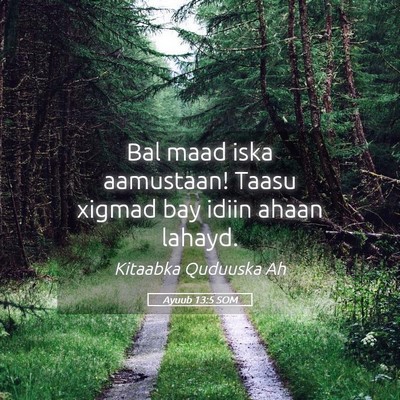Picture 05 - Ayuub 13:5 SOM - Bal maad iska aamustaan! Taasu xigmad bay idiin - Bible Verse Picture