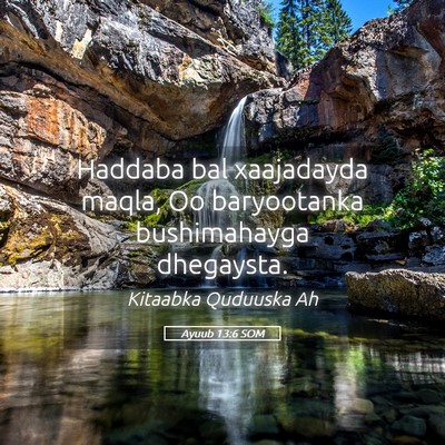 Picture 05 - Ayuub 13:6 SOM - Haddaba bal xaajadayda maqla, Oo baryootanka - Bible Verse Picture