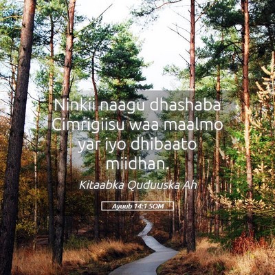 Picture 05 - Ayuub 14:1 SOM - Ninkii naagu dhashaba Cimrigiisu waa maalmo yar - Bible Verse Picture