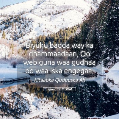 Picture 05 - Ayuub 14:11 SOM - Biyuhu badda way ka dhammaadaan, Oo webiguna waa - Bible Verse Picture