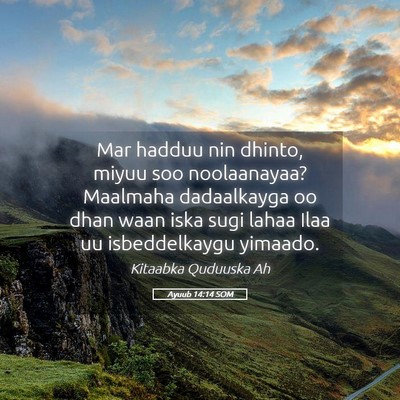 Picture 05 - Ayuub 14:14 SOM - Mar hadduu nin dhinto, miyuu soo noolaanayaa? - Bible Verse Picture