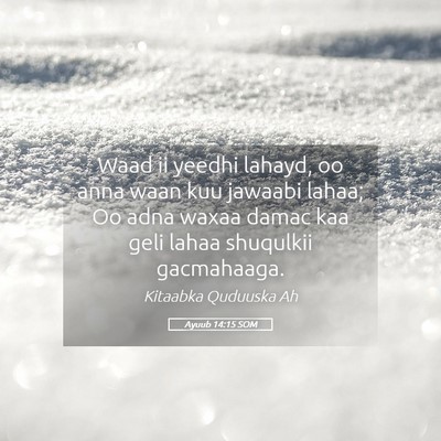 Picture 05 - Ayuub 14:15 SOM - Waad ii yeedhi lahayd, oo anna waan kuu jawaabi - Bible Verse Picture