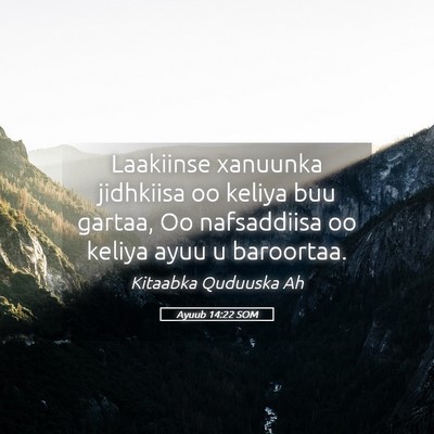Picture 05 - Ayuub 14:22 SOM - Laakiinse xanuunka jidhkiisa oo keliya buu - Bible Verse Picture