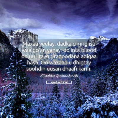 Picture 05 - Ayuub 14:5 SOM - Maxaa yeelay, dadka cimrigiisu waa go'an yahay, - Bible Verse Picture