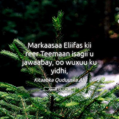 Picture 05 - Ayuub 15:1 SOM - Markaasaa Eliifas kii reer Teemaan isagii u - Bible Verse Picture