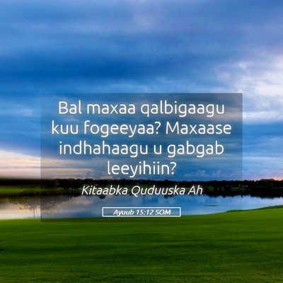 Picture 05 - Ayuub 15:12 SOM - Bal maxaa qalbigaagu kuu fogeeyaa? Maxaase - Bible Verse Picture