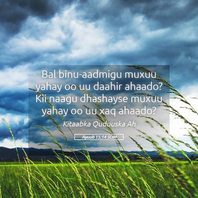 Picture 05 - Ayuub 15:14 SOM - Bal binu-aadmigu muxuu yahay oo uu daahir ahaado? - Bible Verse Picture