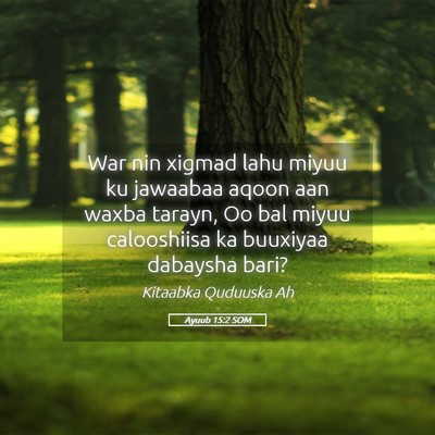 Picture 05 - Ayuub 15:2 SOM - War nin xigmad lahu miyuu ku jawaabaa aqoon aan - Bible Verse Picture