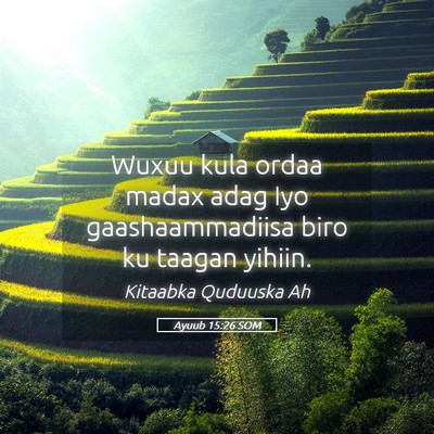 Picture 05 - Ayuub 15:26 SOM - Wuxuu kula ordaa madax adag Iyo gaashaammadiisa - Bible Verse Picture