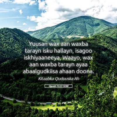 Picture 05 - Ayuub 15:31 SOM - Yuusan wax aan waxba tarayn isku hallayn, isagoo - Bible Verse Picture