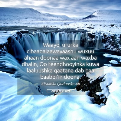 Picture 05 - Ayuub 15:34 SOM - Waayo, ururka cibaadalaawayaashu wuxuu ahaan - Bible Verse Picture