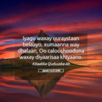 Picture 05 - Ayuub 15:35 SOM - Iyagu waxay uuraystaan belaayo, xumaanna way - Bible Verse Picture