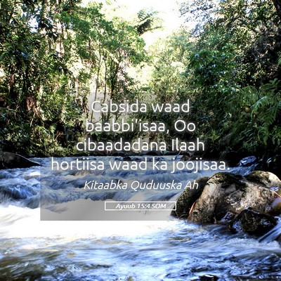 Picture 05 - Ayuub 15:4 SOM - Cabsida waad baabbi'isaa, Oo cibaadadana Ilaah - Bible Verse Picture