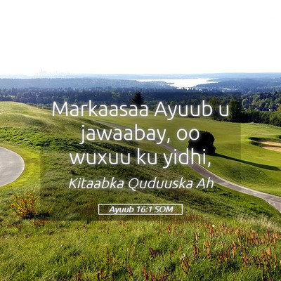 Picture 05 - Ayuub 16:1 SOM - Markaasaa Ayuub u jawaabay, oo wuxuu ku - Bible Verse Picture