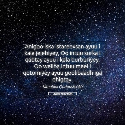 Picture 05 - Ayuub 16:12 SOM - Anigoo iska istareexsan ayuu i kala jejebiyey, Oo - Bible Verse Picture