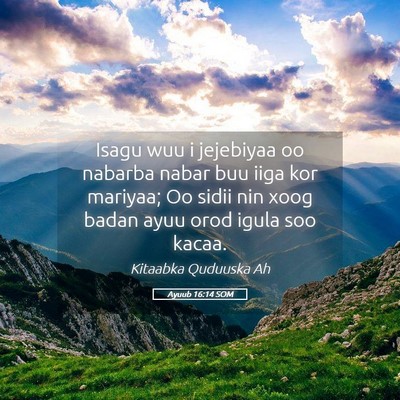Picture 05 - Ayuub 16:14 SOM - Isagu wuu i jejebiyaa oo nabarba nabar buu iiga - Bible Verse Picture