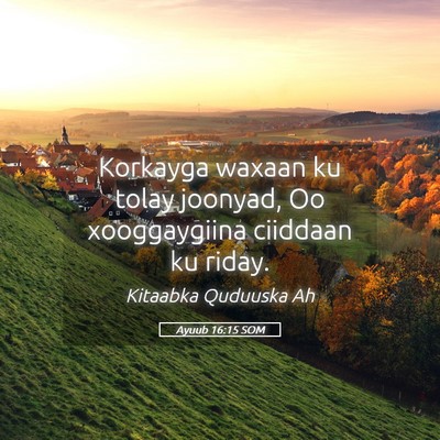 Picture 05 - Ayuub 16:15 SOM - Korkayga waxaan ku tolay joonyad, Oo xooggaygiina - Bible Verse Picture
