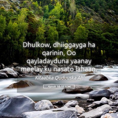 Picture 05 - Ayuub 16:18 SOM - Dhulkow, dhiiggayga ha qarinin, Oo qayladayduna - Bible Verse Picture