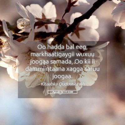Picture 05 - Ayuub 16:19 SOM - Oo hadda bal eeg, markhaatigaygii wuxuu joogaa - Bible Verse Picture