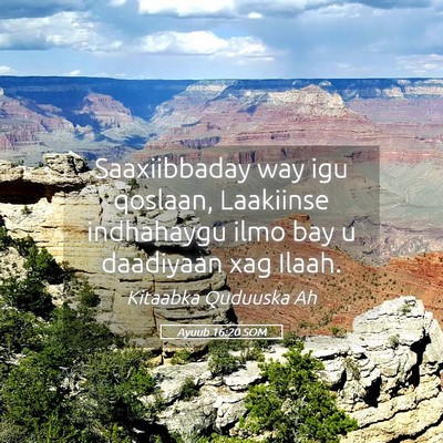 Picture 05 - Ayuub 16:20 SOM - Saaxiibbaday way igu qoslaan, Laakiinse - Bible Verse Picture