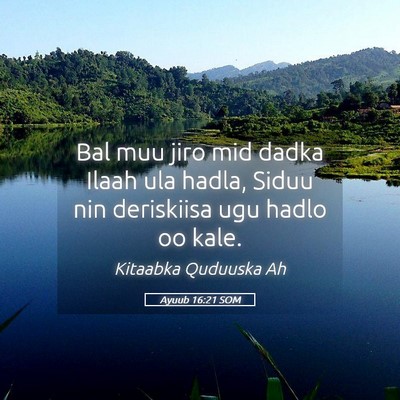 Picture 05 - Ayuub 16:21 SOM - Bal muu jiro mid dadka Ilaah ula hadla, Siduu nin - Bible Verse Picture