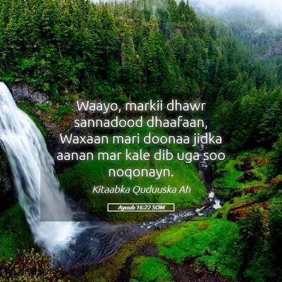 Picture 05 - Ayuub 16:22 SOM - Waayo, markii dhawr sannadood dhaafaan, Waxaan - Bible Verse Picture