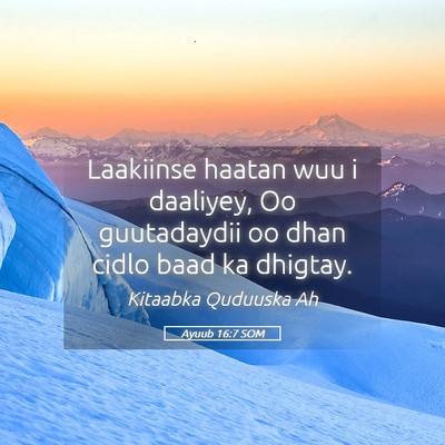 Picture 05 - Ayuub 16:7 SOM - Laakiinse haatan wuu i daaliyey, Oo guutadaydii - Bible Verse Picture