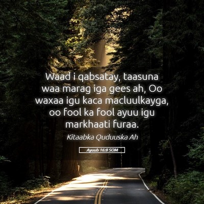 Picture 05 - Ayuub 16:8 SOM - Waad i qabsatay, taasuna waa marag iga gees ah, - Bible Verse Picture