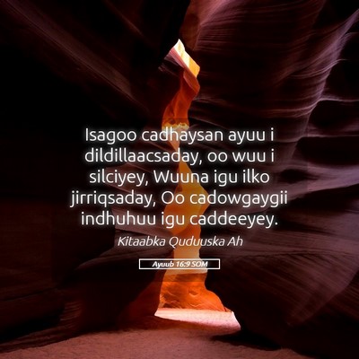 Picture 05 - Ayuub 16:9 SOM - Isagoo cadhaysan ayuu i dildillaacsaday, oo wuu i - Bible Verse Picture