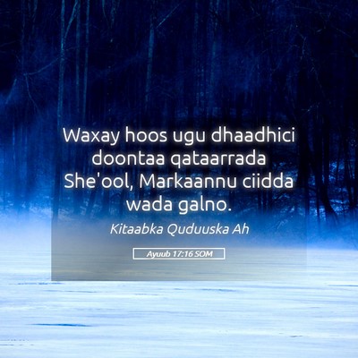 Picture 05 - Ayuub 17:16 SOM - Waxay hoos ugu dhaadhici doontaa qataarrada - Bible Verse Picture