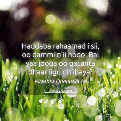 Picture 05 - Ayuub 17:3 SOM - Haddaba rahaamad i sii, oo dammiin ii noqo; Bal - Bible Verse Picture