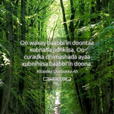 Picture 05 - Ayuub 18:13 SOM - Oo waxay baabbi'in doontaa xubnaha jidhkiisa, Oo - Bible Verse Picture
