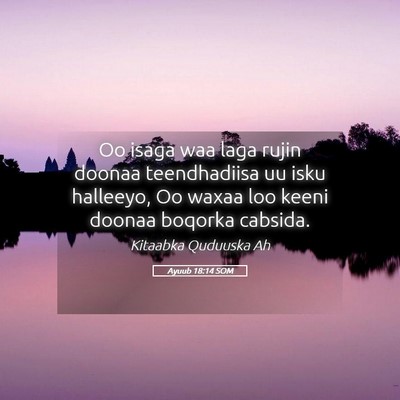 Picture 05 - Ayuub 18:14 SOM - Oo isaga waa laga rujin doonaa teendhadiisa uu - Bible Verse Picture