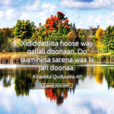 Picture 05 - Ayuub 18:16 SOM - Xididdadiisa hoose way qallali doonaan, Oo - Bible Verse Picture