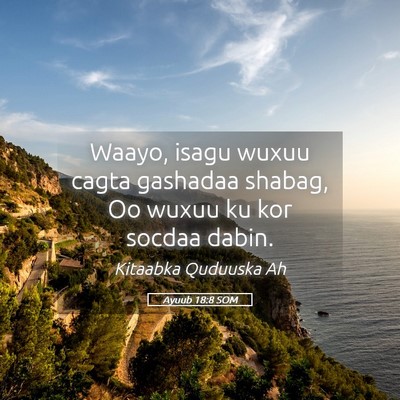 Picture 05 - Ayuub 18:8 SOM - Waayo, isagu wuxuu cagta gashadaa shabag, Oo - Bible Verse Picture