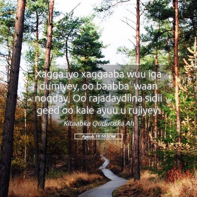 Picture 05 - Ayuub 19:10 SOM - Xagga iyo xaggaaba wuu iga dumiyey, oo baabba' - Bible Verse Picture
