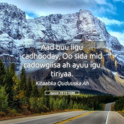 Picture 05 - Ayuub 19:11 SOM - Aad buu iigu cadhooday, Oo sida mid cadowgiisa ah - Bible Verse Picture