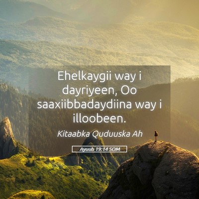 Picture 05 - Ayuub 19:14 SOM - Ehelkaygii way i dayriyeen, Oo saaxiibbadaydiina - Bible Verse Picture