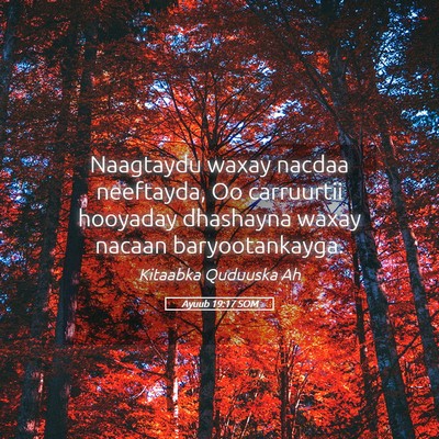 Picture 05 - Ayuub 19:17 SOM - Naagtaydu waxay nacdaa neeftayda, Oo carruurtii - Bible Verse Picture