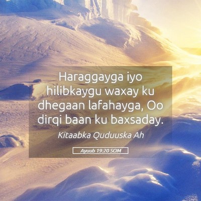 Picture 05 - Ayuub 19:20 SOM - Haraggayga iyo hilibkaygu waxay ku dhegaan - Bible Verse Picture